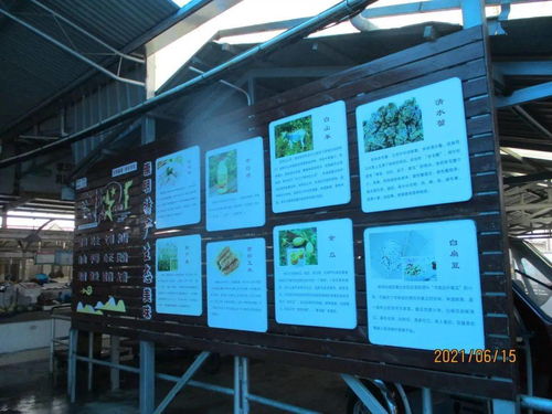 崇明區2021年第二輪集貿市場雙月督查結果出爐