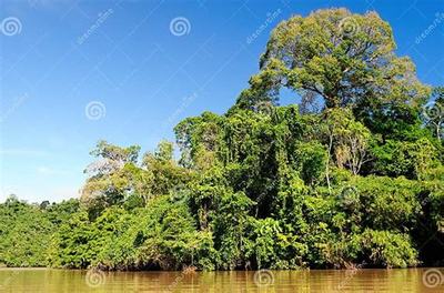 有什么游戲代理網絡_仙俠類游戲名字